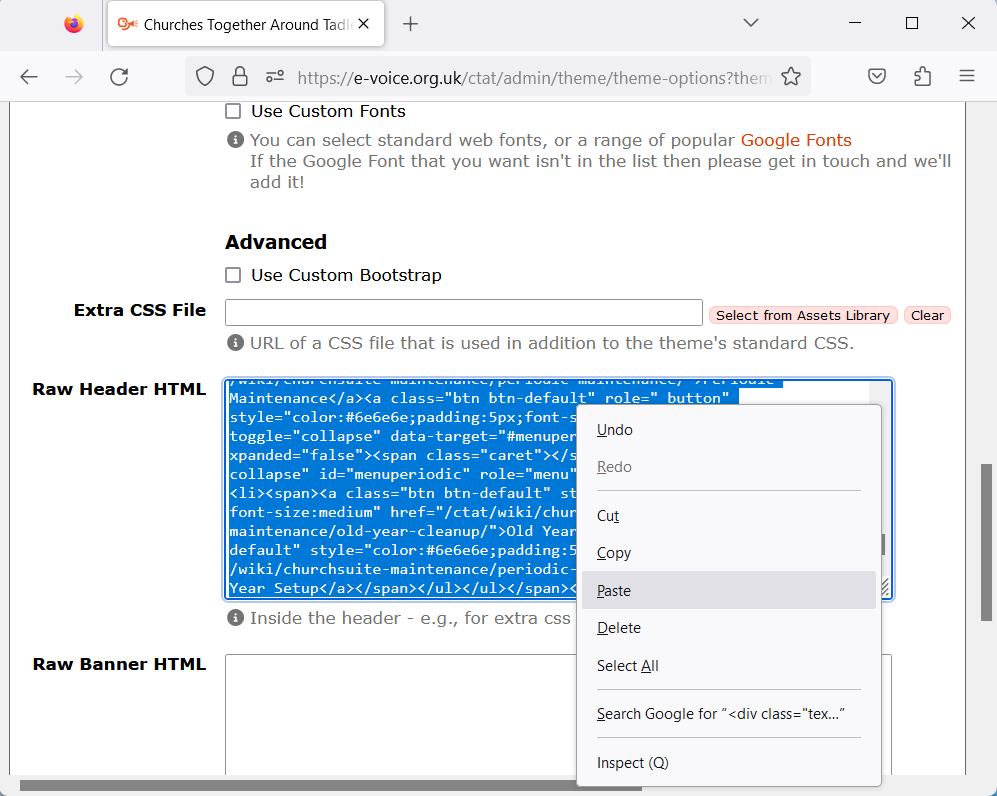 Paste to Raw HTML